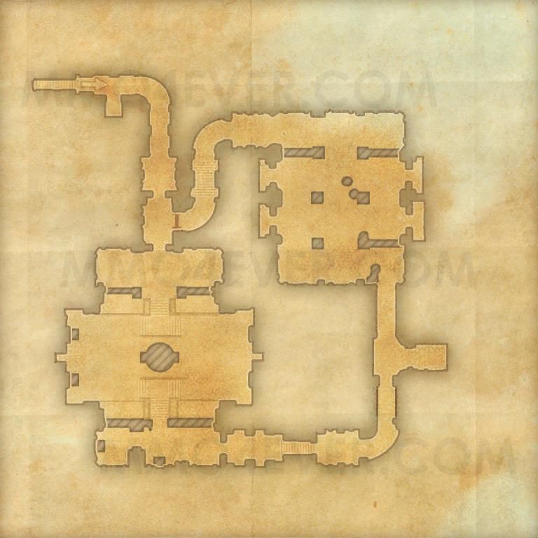 Black Vine Ruins