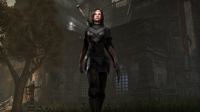 Breton wearing Redguard armor