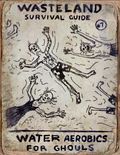 Wasteland Survival Guide