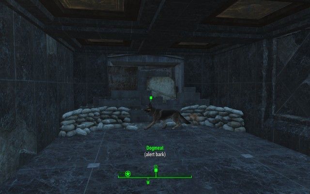 Check on Dogmeat