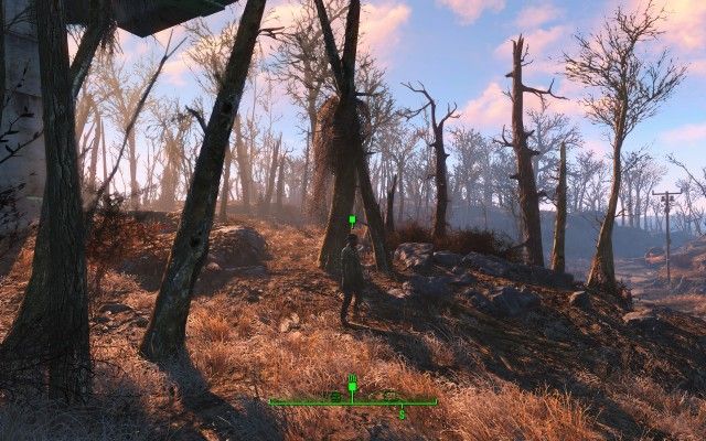 Meet Deacon at the old highway