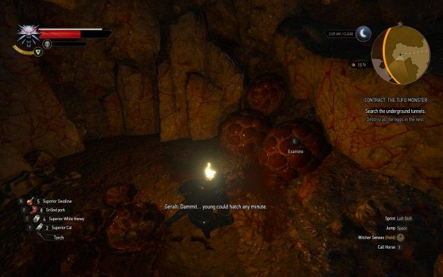 Destroy all the eggs in the nest.