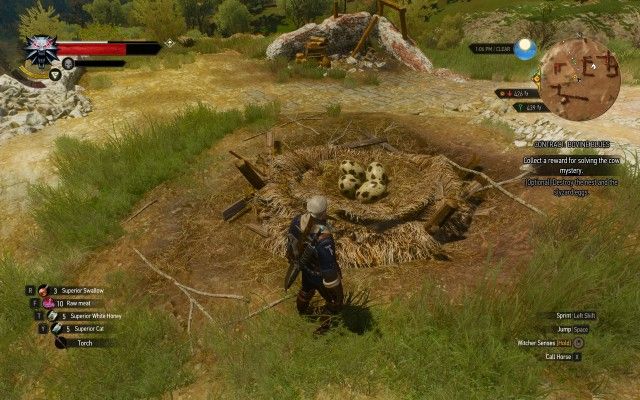 [Optional] Destroy the nest and the slyzard eggs.