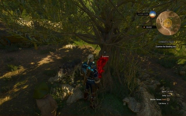 Examine the bleeding tree.