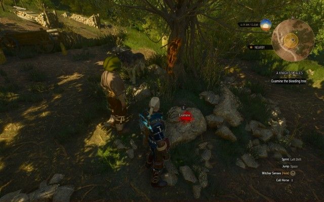 Examine the bleeding tree.