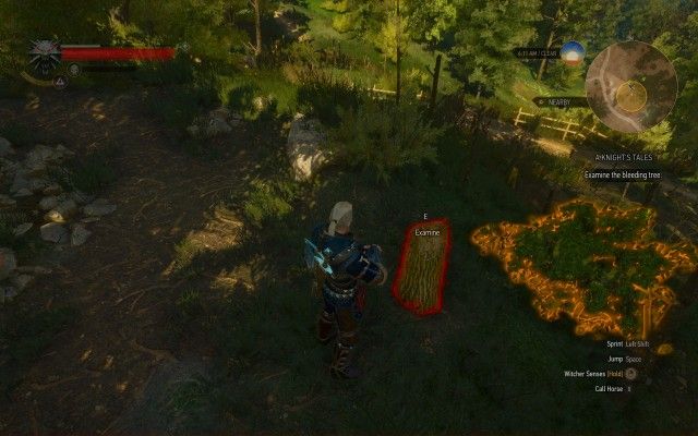 Examine the bleeding tree.
