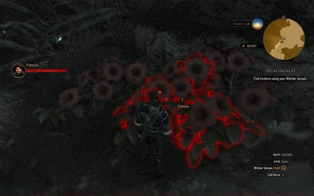 Find Grottore using your Witcher Senses.