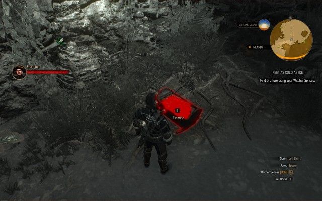Find Grottore using your Witcher Senses.