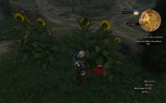 Find the chest hidden in the sunflower field.