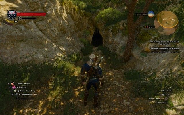 Find the entrance to the Pits of Brume.