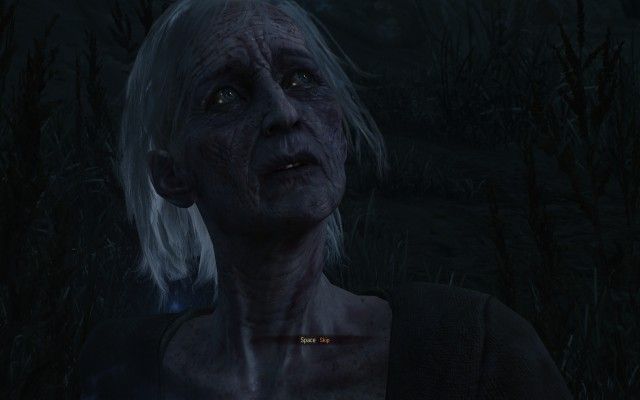 [Optional] Follow the stench of the wight's brew.