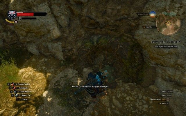 Investigate the cave entrance.
