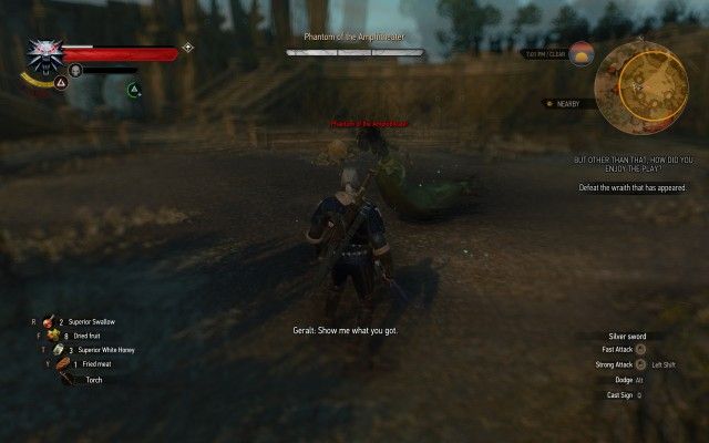 Defeat the wraith that has appeared.