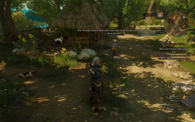 Use your Witcher Senses to investigate the area and find out what's tormenting the hermit.