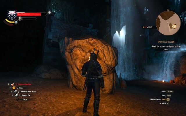 Reach the platform and get out of the cave.
