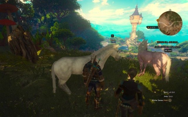 [Optional] Ride the white unicorn.