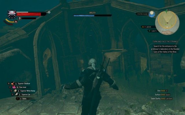 Search for the entrance to the professor's laboratory in the flooded ruins of the Valley of the Nine.