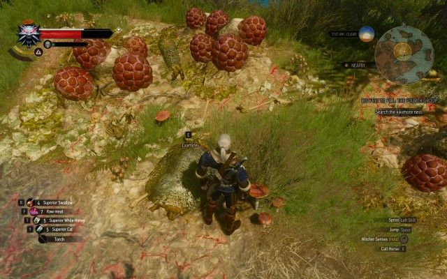 Search the kikimore nest.