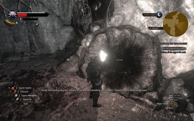 Search the underground tunnels.