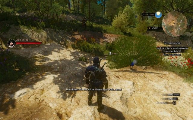 Use the Axii Sign to force the peacocks to open their tails. 0/3