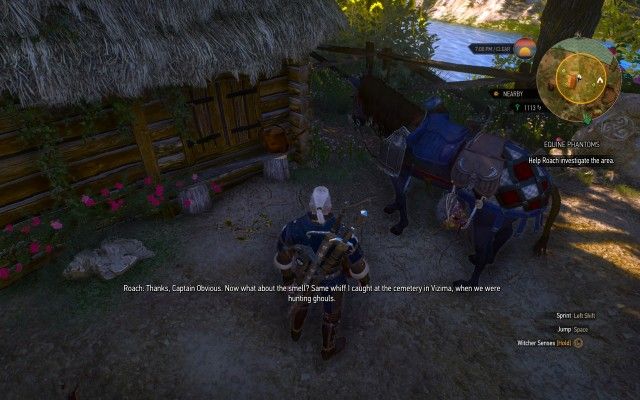 Use your Witcher Senses to examine the moths by the window.