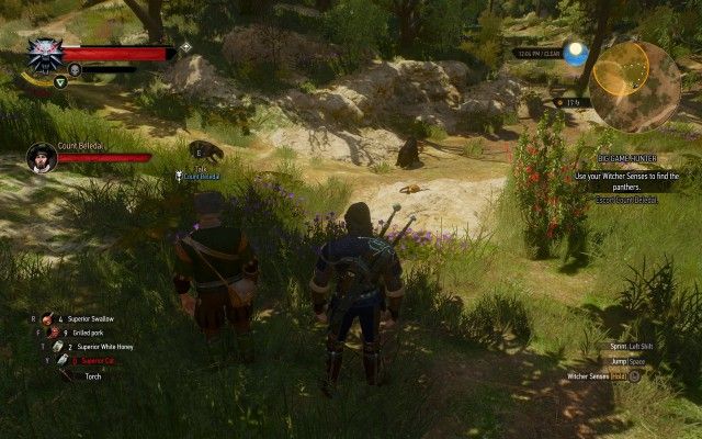 Use your Witcher Senses to find the panthers.