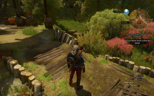 Use your Witcher Senses to follow the basilisk.