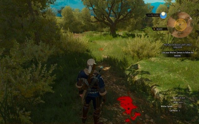 Use your Witcher Senses to follow the basilisk.