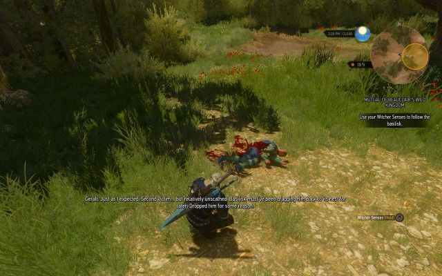 Use your Witcher Senses to follow the basilisk.