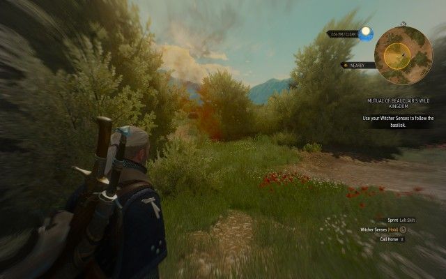 Use your Witcher Senses to follow the basilisk.