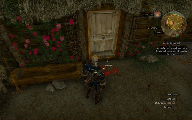 Use your Witcher Senses to investigate the area and find out what's tormenting the hermit.