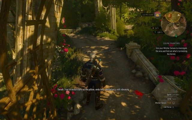 Use your Witcher Senses to investigate the area and find out what's tormenting the hermit.