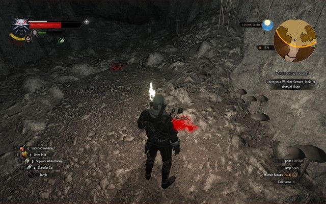 Using your Witcher Senses, look for signs of Hugo.